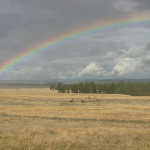 Horseshoe Bend Ranch