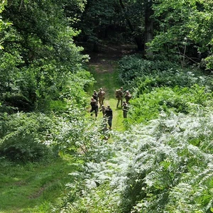 Lingfield (Private site)